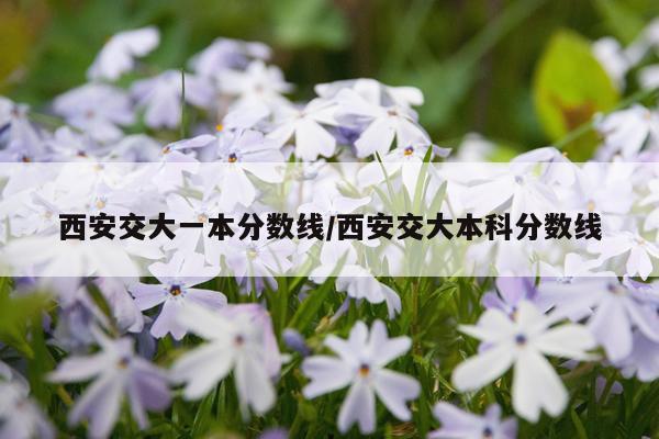 西安交大一本分数线/西安交大本科分数线