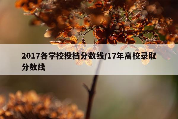 2017各学校投档分数线/17年高校录取分数线