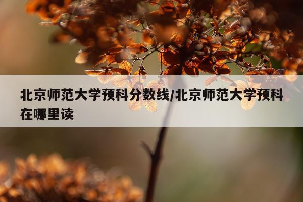 北京师范大学预科分数线/北京师范大学预科在哪里读