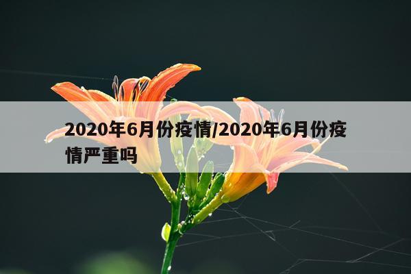 2020年6月份疫情/2020年6月份疫情严重吗
