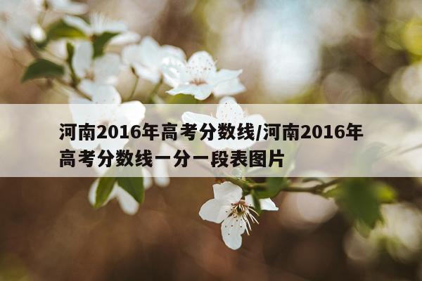 河南2016年高考分数线/河南2016年高考分数线一分一段表图片