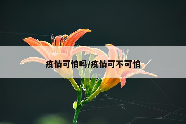 疫情可怕吗/疫情可不可怕