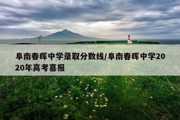 阜南春晖中学录取分数线/阜南春晖中学2020年高考喜报