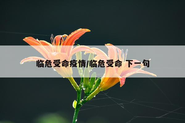 临危受命疫情/临危受命 下一句