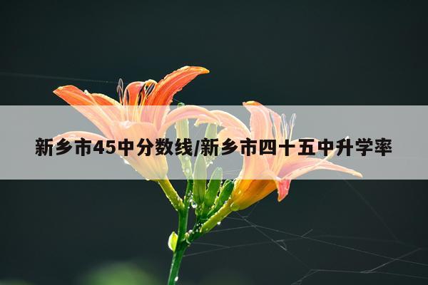 新乡市45中分数线/新乡市四十五中升学率