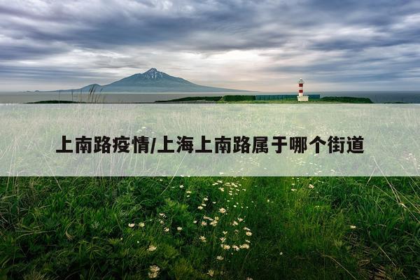 上南路疫情/上海上南路属于哪个街道