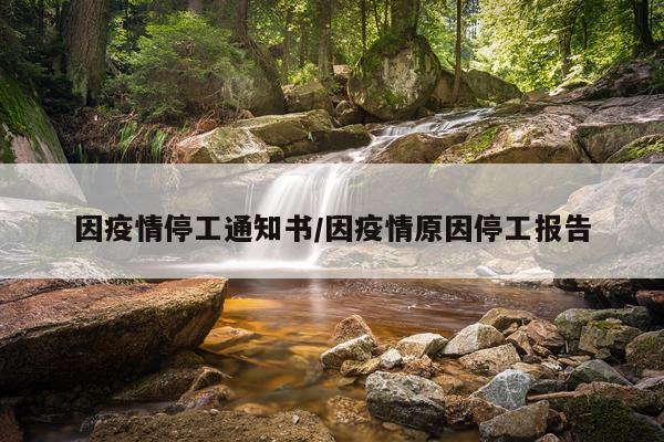 因疫情停工通知书/因疫情原因停工报告