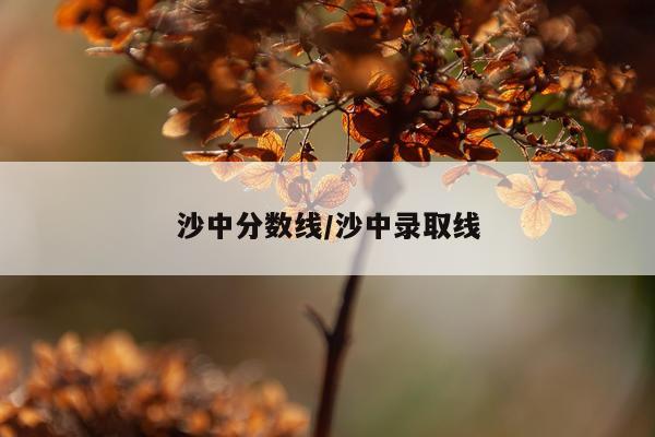 沙中分数线/沙中录取线