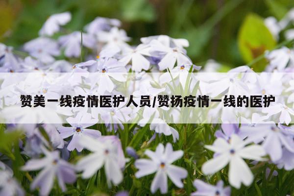 赞美一线疫情医护人员/赞扬疫情一线的医护