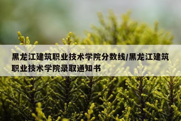 黑龙江建筑职业技术学院分数线/黑龙江建筑职业技术学院录取通知书