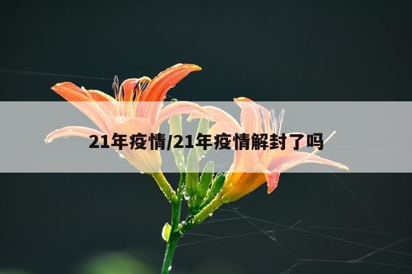 21年疫情/21年疫情解封了吗