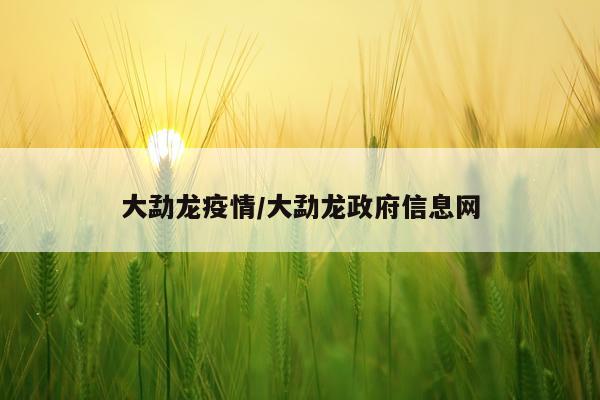 大勐龙疫情/大勐龙政府信息网