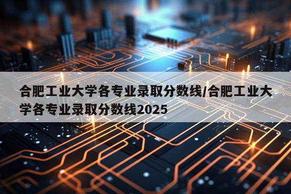 合肥工业大学各专业录取分数线/合肥工业大学各专业录取分数线2025