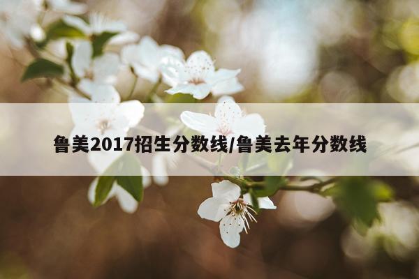 鲁美2017招生分数线/鲁美去年分数线