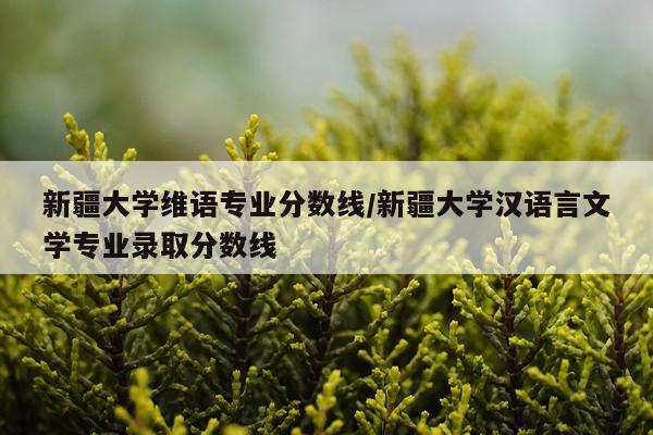 新疆大学维语专业分数线/新疆大学汉语言文学专业录取分数线