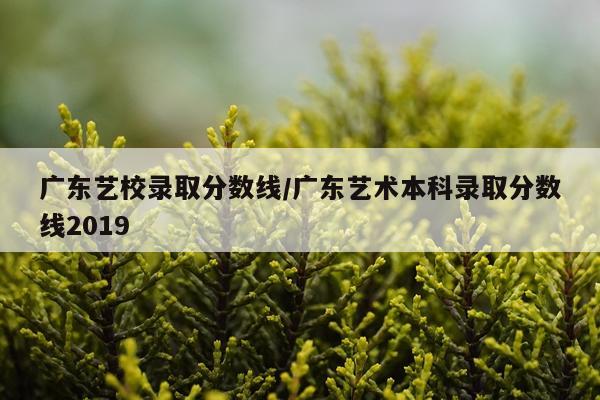 广东艺校录取分数线/广东艺术本科录取分数线2019