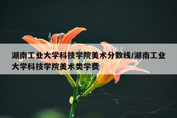 湖南工业大学科技学院美术分数线/湖南工业大学科技学院美术类学费
