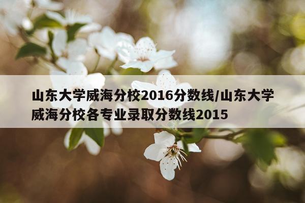 山东大学威海分校2016分数线/山东大学威海分校各专业录取分数线2015