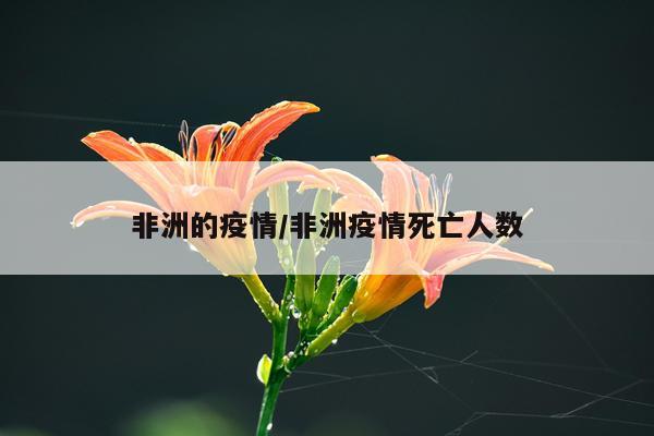 非洲的疫情/非洲疫情死亡人数