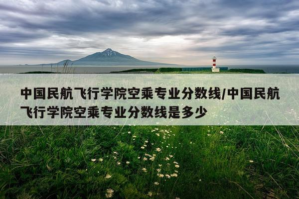中国民航飞行学院空乘专业分数线/中国民航飞行学院空乘专业分数线是多少
