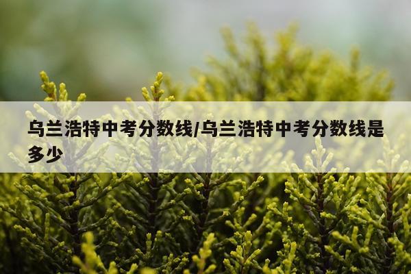 乌兰浩特中考分数线/乌兰浩特中考分数线是多少