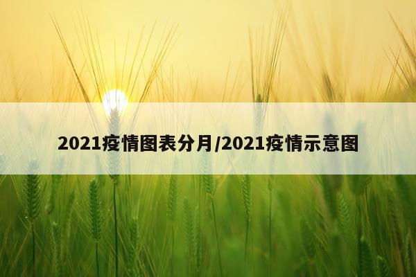 2021疫情图表分月/2021疫情示意图
