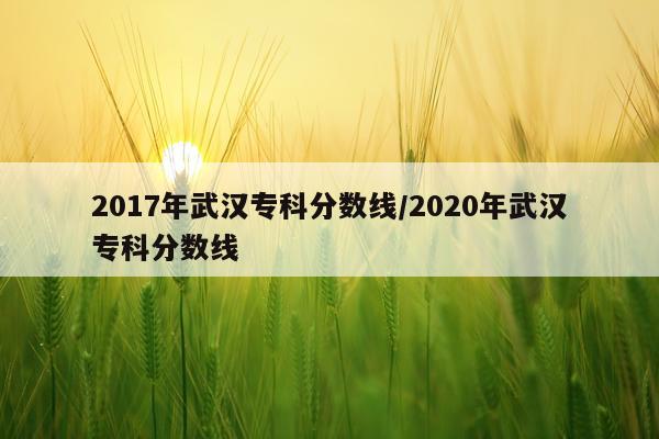 2017年武汉专科分数线/2020年武汉专科分数线