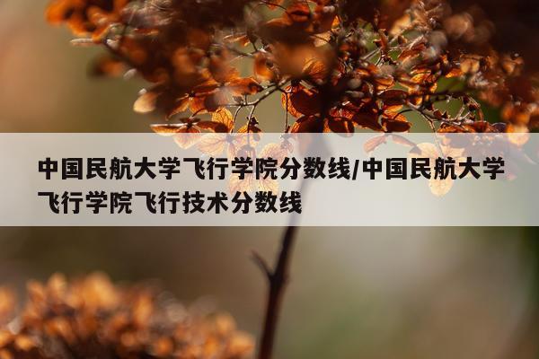 中国民航大学飞行学院分数线/中国民航大学飞行学院飞行技术分数线