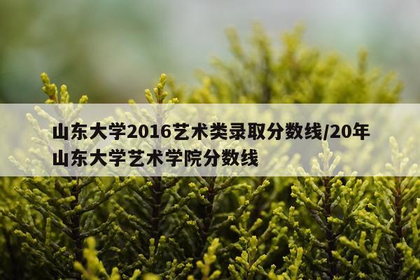 山东大学2016艺术类录取分数线/20年山东大学艺术学院分数线