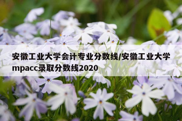 安徽工业大学会计专业分数线/安徽工业大学mpacc录取分数线2020