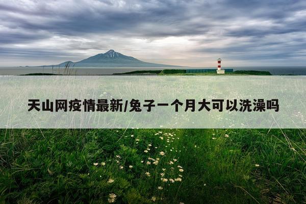 天山网疫情最新/兔子一个月大可以洗澡吗