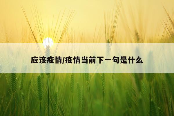 应该疫情/疫情当前下一句是什么