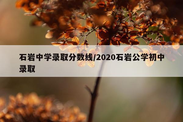 石岩中学录取分数线/2020石岩公学初中录取
