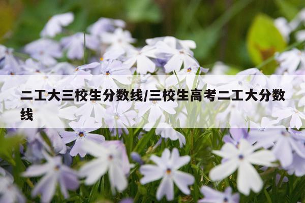 二工大三校生分数线/三校生高考二工大分数线