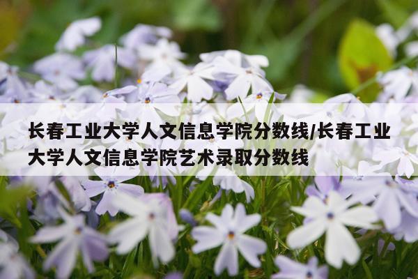 长春工业大学人文信息学院分数线/长春工业大学人文信息学院艺术录取分数线
