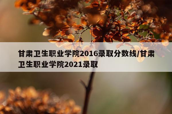 甘肃卫生职业学院2016录取分数线/甘肃卫生职业学院2021录取