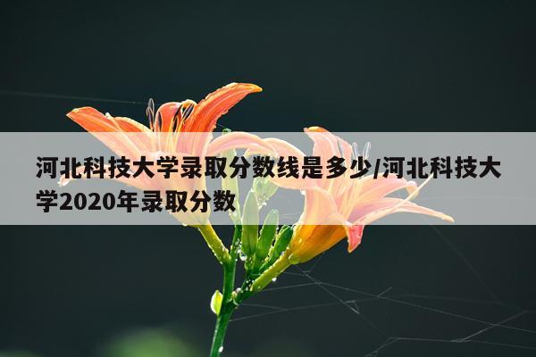 河北科技大学录取分数线是多少/河北科技大学2020年录取分数