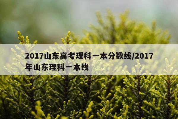 2017山东高考理科一本分数线/2017年山东理科一本线