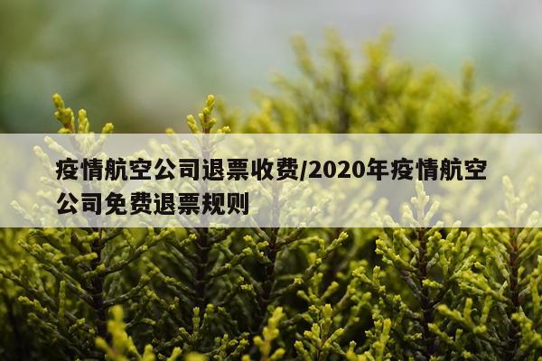 疫情航空公司退票收费/2020年疫情航空公司免费退票规则