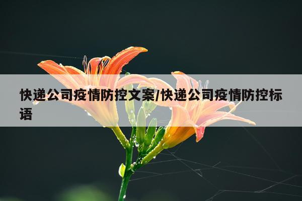 快递公司疫情防控文案/快递公司疫情防控标语