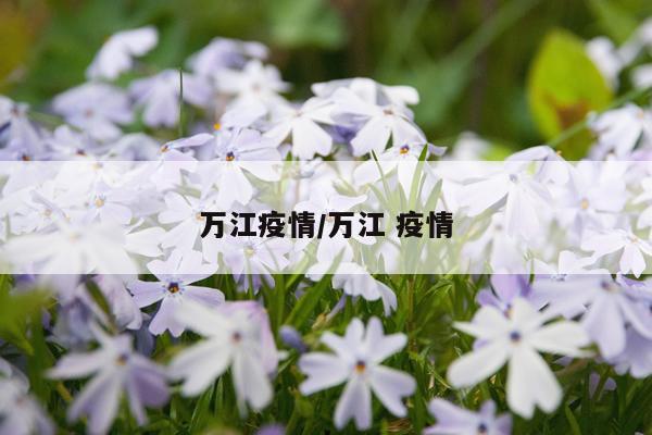 万江疫情/万江 疫情