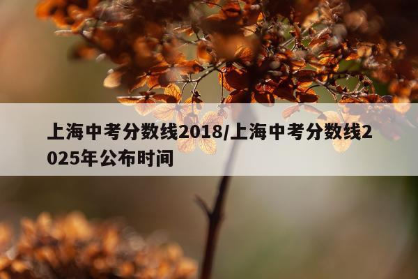 上海中考分数线2018/上海中考分数线2025年公布时间