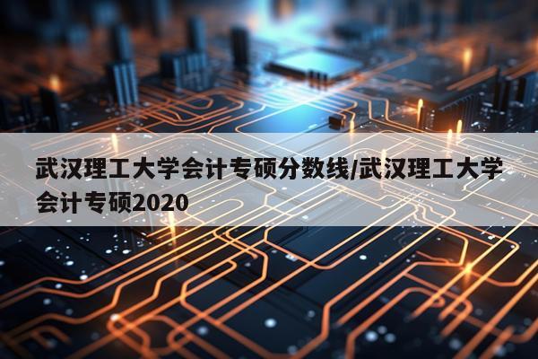 武汉理工大学会计专硕分数线/武汉理工大学会计专硕2020