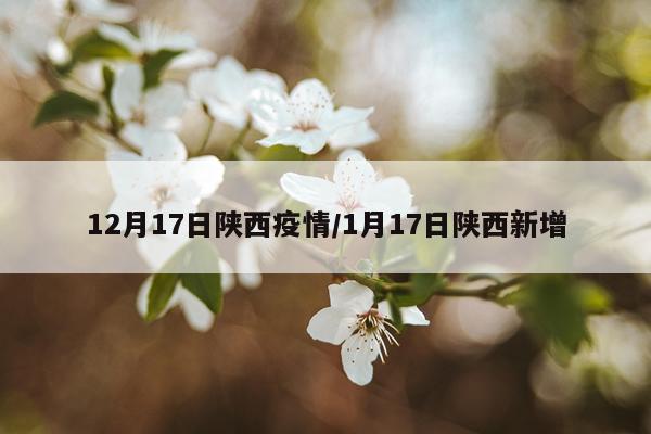 12月17日陕西疫情/1月17日陕西新增