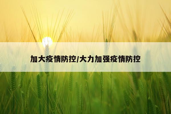 加大疫情防控/大力加强疫情防控