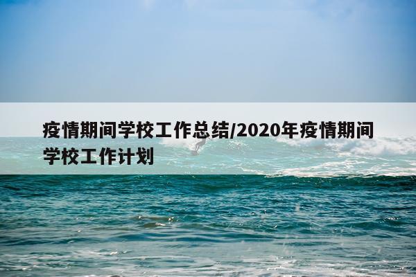疫情期间学校工作总结/2020年疫情期间学校工作计划