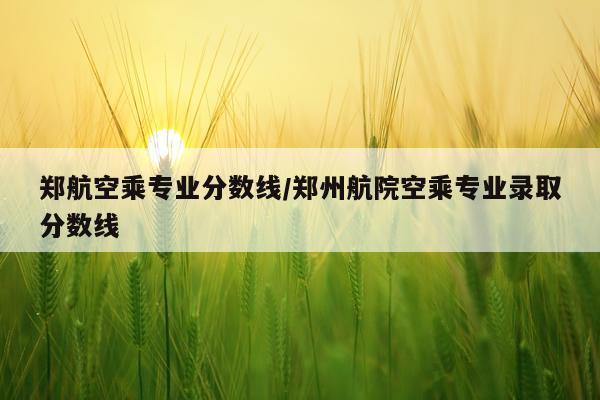郑航空乘专业分数线/郑州航院空乘专业录取分数线