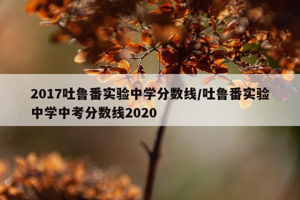 2017吐鲁番实验中学分数线/吐鲁番实验中学中考分数线2020