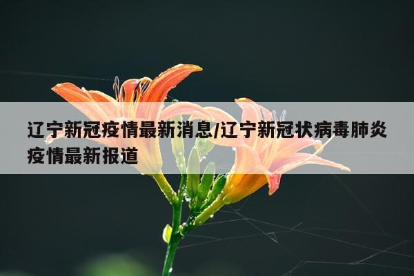 辽宁新冠疫情最新消息/辽宁新冠状病毒肺炎疫情最新报道