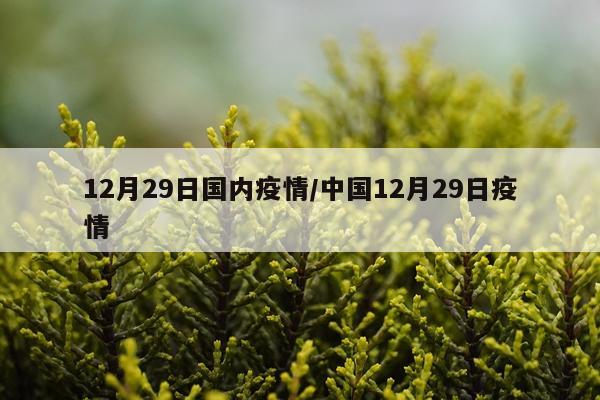 12月29日国内疫情/中国12月29日疫情
